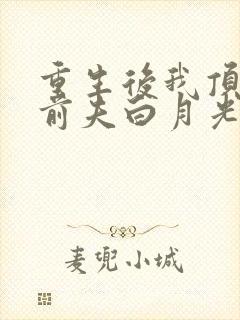 重生后我顶替了前夫白月光 第507章