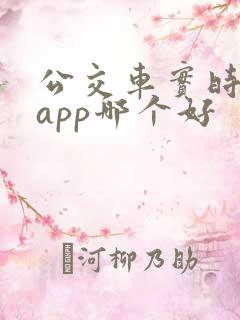 公交车实时到站app哪个好