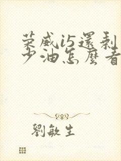 荣威i5还剩多少油怎么看