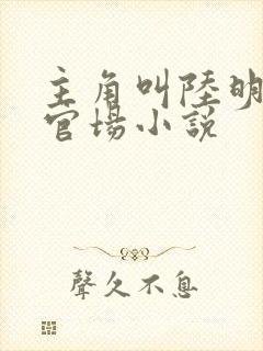 主角叫陆明远的官场小说