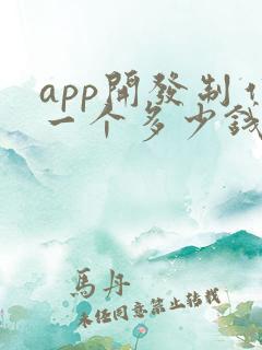 app开发制作一个多少钱