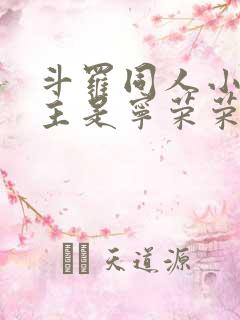斗罗同人小说女主是宁荣荣 斗罗同人小说女主是宁荣荣