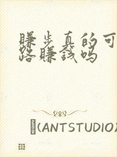 赚步真的可以走路赚钱吗