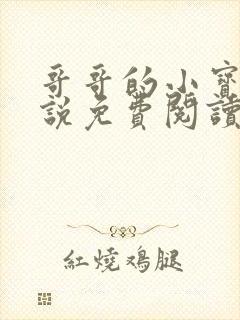 哥哥的小宝贝小说免费阅读 哥哥的小宝贝小说免费阅读