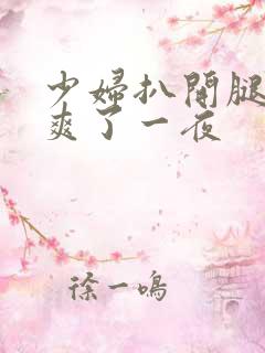 少妇扒开腿让我爽了一夜