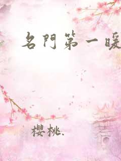 名门第一暖婚