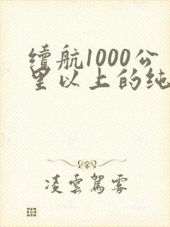 续航1000公里以上的纯电动汽车