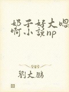 奶子好大嗯啊啊啊小说np
