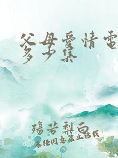 父母爱情电视剧多少集