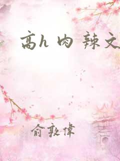 高h 肉 辣文