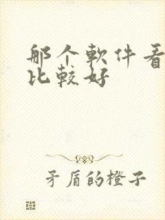 那个软件看小说比较好