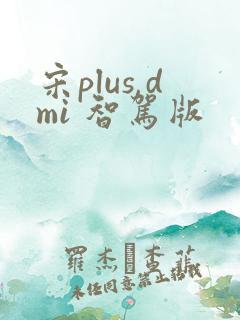 宋plus dmi 智驾版