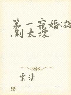 第一宠婚:总裁,别太坏