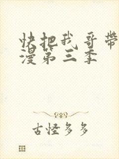 快把我哥带走动漫第三季