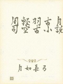 周轻羽古月上尊司空古小说