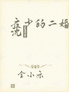 夜少的二婚新妻沈趐