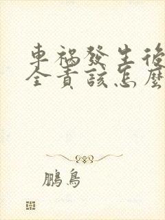 车祸发生后对方全责该怎么赔偿