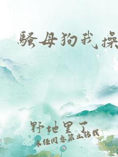 骚母狗我操死你