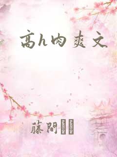 高h肉爽文