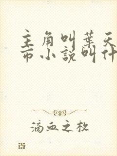 主角叫叶天的都市小说叫什么