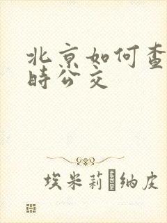北京如何查看实时公交