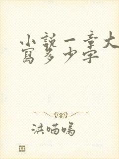 小说一章大概要写多少字