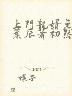 上门龙婿免全文叶辰萧初然