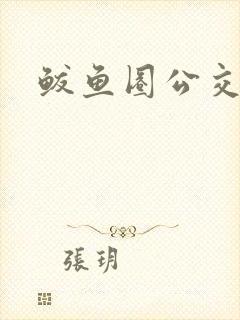 鲅鱼圈公交
