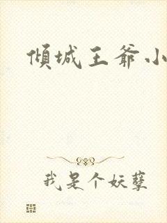 倾城王爷小小妃