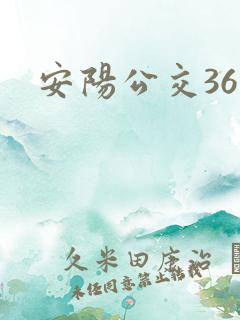 安阳公交36路
