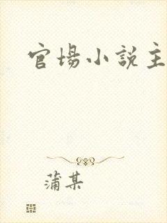 官场小说主角林