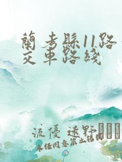兰考县11路公交车路线