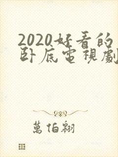 2020好看的卧底电视剧 2020好看的卧底电视剧