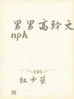 男男高干文阅读nph