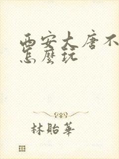西安大唐不夜城怎么玩 西安大唐不夜城怎么玩