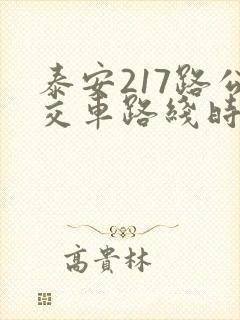 泰安217路公交车路线时间表