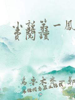 小说第一凤女免费阅读