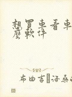想买车看车用什么软件