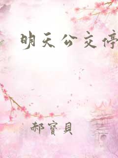 明天公交停运吗