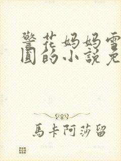 警花妈妈雪白浑圆的小说免费阅读全