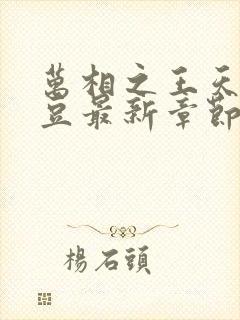万相之王天蚕土豆最新章节无弹窗