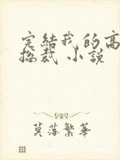 完结我的高冷女总裁 小说