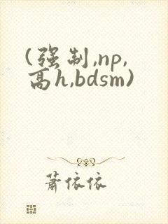 (强制,np,高h,bdsm)