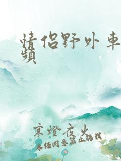 情侣野外车震视频