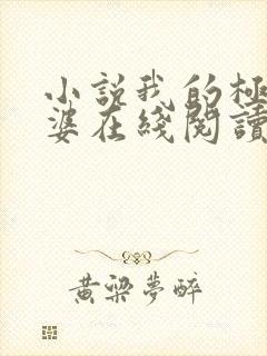 小说我的极品老婆在线阅读全文