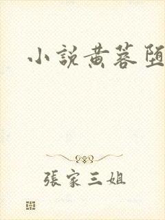小说黄蓉堕落史