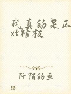 我真的是正派txt精校