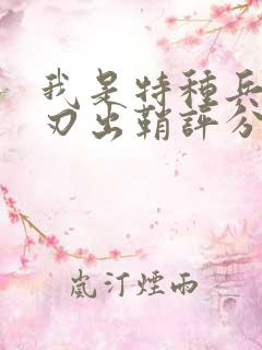 我是特种兵之利刃出鞘评分