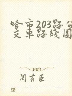 哈市203路公交车路线图