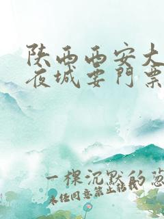 陕西西安大唐不夜城要门票吗